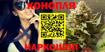 гидра Обь