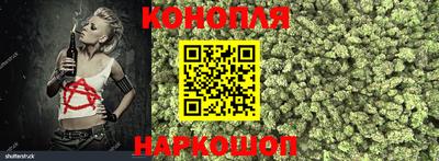гидра Обь