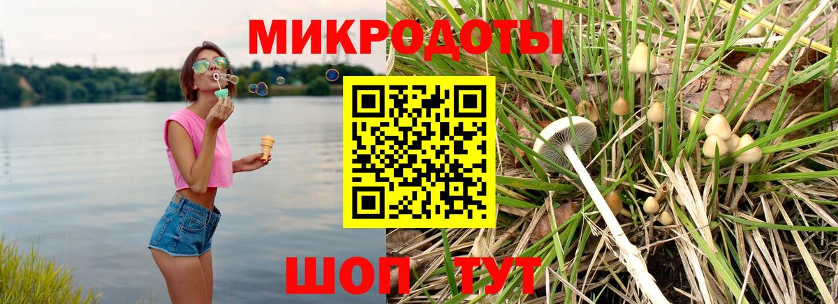 Псилоцибиновые грибы GOLDEN TEACHER Рузаевка