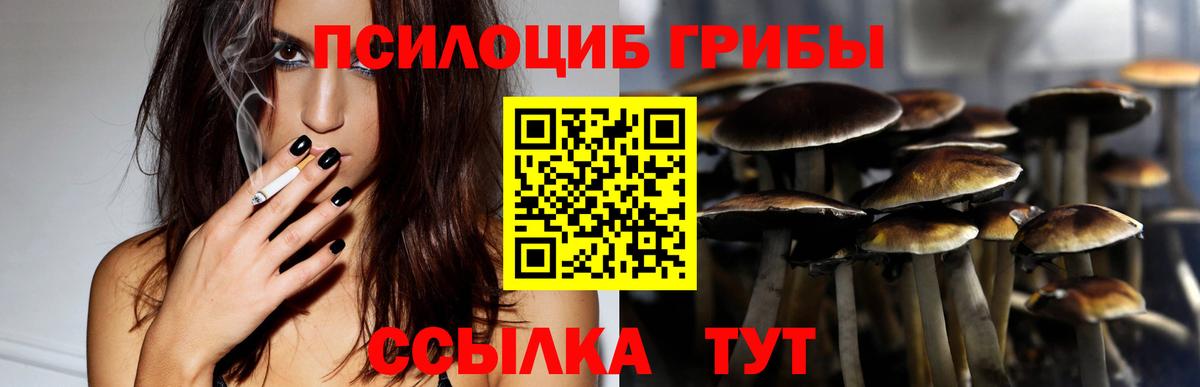 Рузаевка  Галлюциногенные грибы мицелий  Вход с VPN  Галлюциногенные грибы ЛСД 